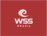 Logotipo da empresa WSS Brasil - Web Surf Shop